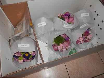 This is how they arrive to you (these are not mine)