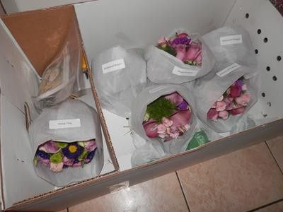 This is how they arrive to you (these are not mine)