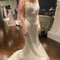 Dream Dress Did you actually like it? - 1