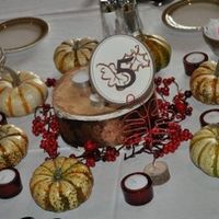 We had a great Fall wedding
