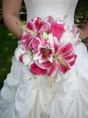 Put in for my flowers today!! (Pictures)