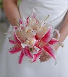 Put in for my flowers today!! (Pictures)