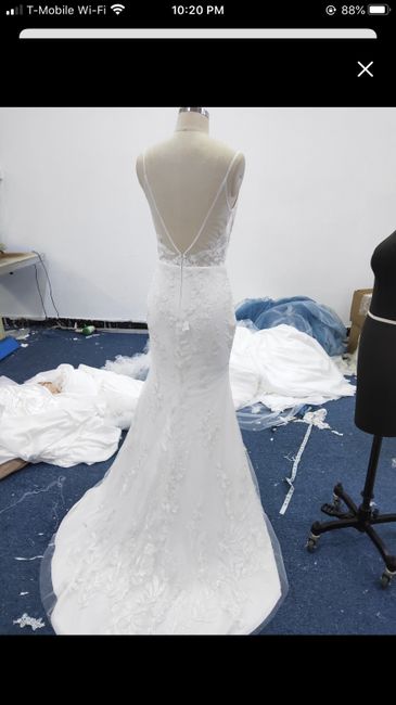Panicking hard about my dress!!!! Or am i being crazy haha? - 2