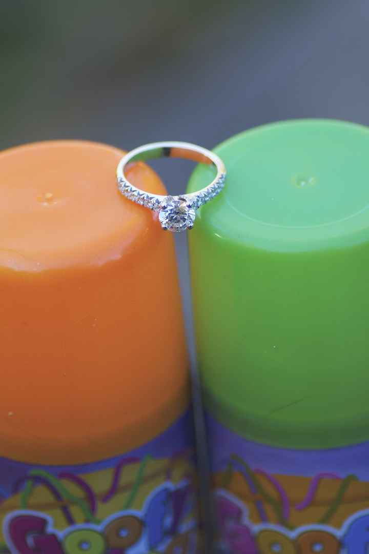 Engagement Photo Sneaks!!