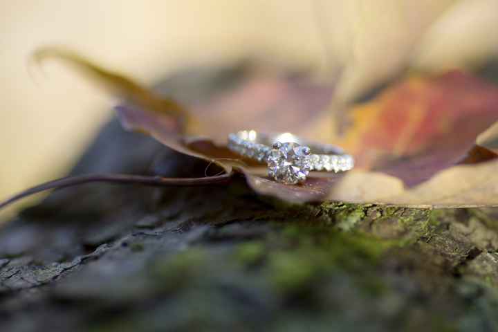 Engagement Photo Sneaks!!