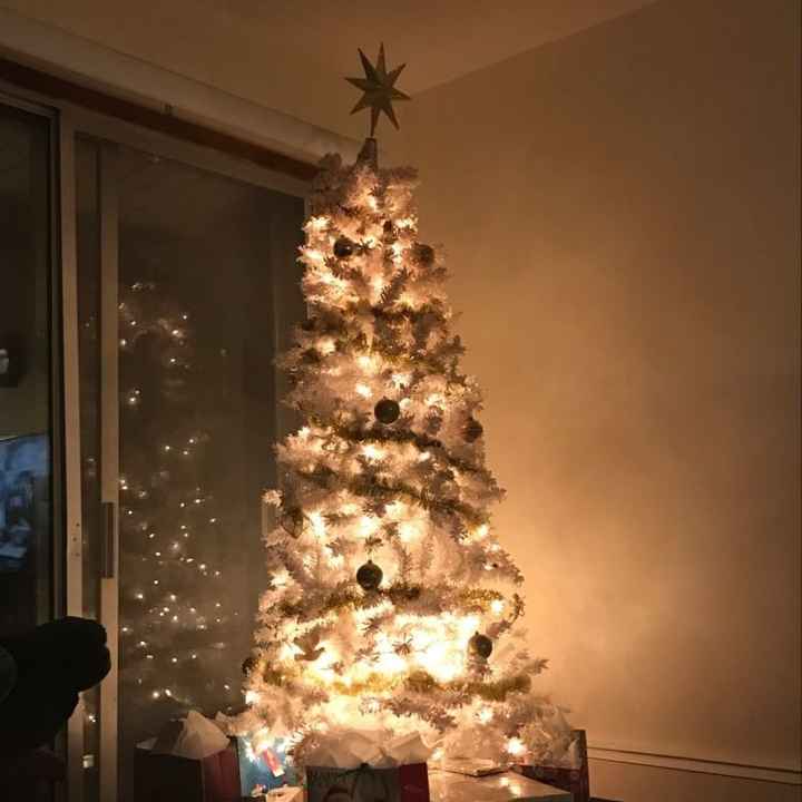 NWR-show me your Xmas trees