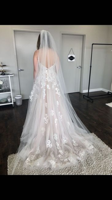 Cathedral veil - 1