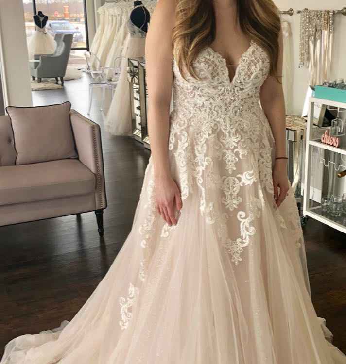 Calling all brides with ivory dresses and blush lining - 1