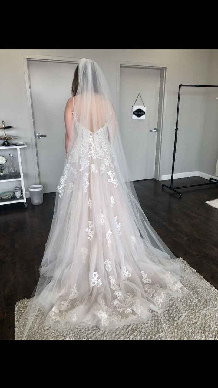 Cathedral veil - 1
