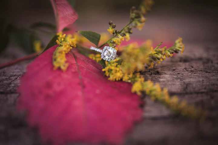 Small diamond ladiessssss.....Let me see those small diamond halo's (half carat and lower)