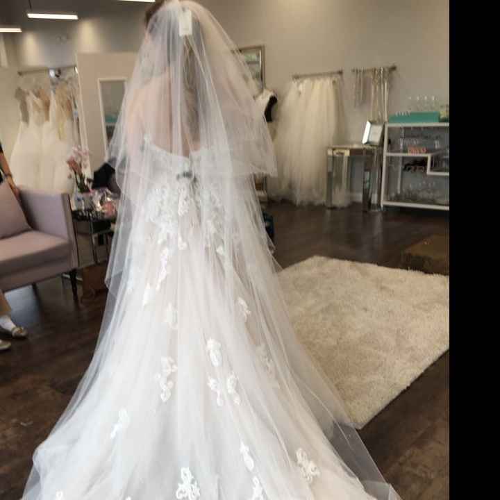 Show me your cathedral length veils - 1