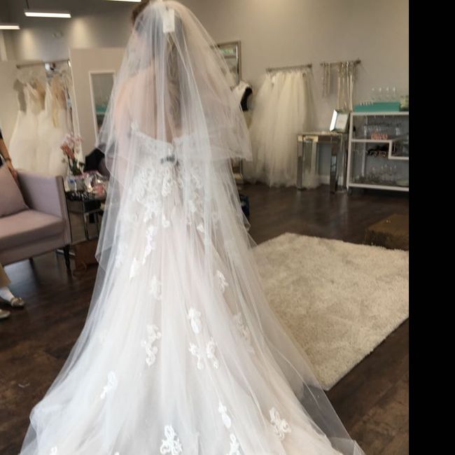 Show me your cathedral length veils - 1