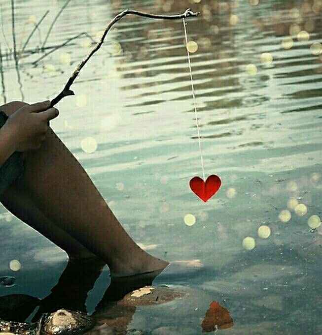 Ecologically conscientious planning?