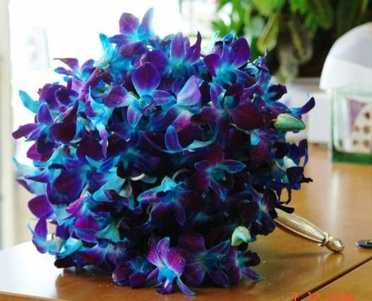 2014 Brides...What are your wedding colors?