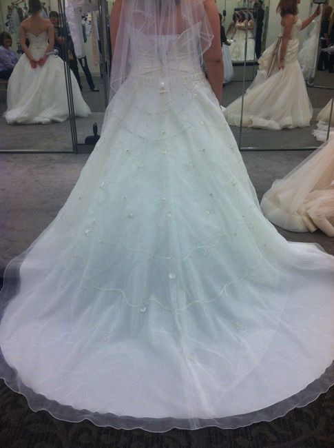 Spin-off! Show me your David's Bridal gowns!