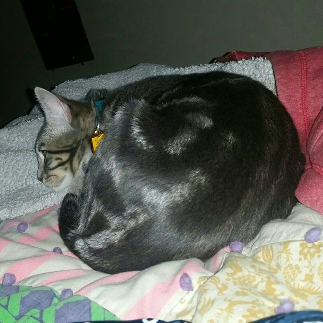 Diy cake topper finished!!