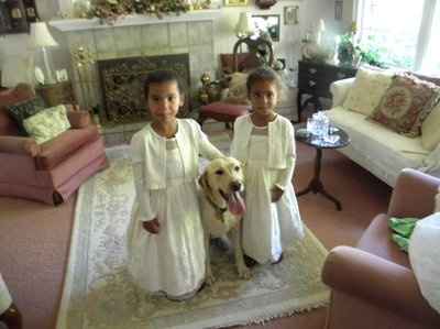 need help finding flower girl dresses