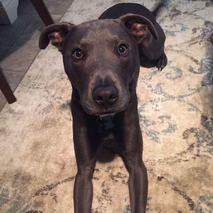 Monetary  or gift list