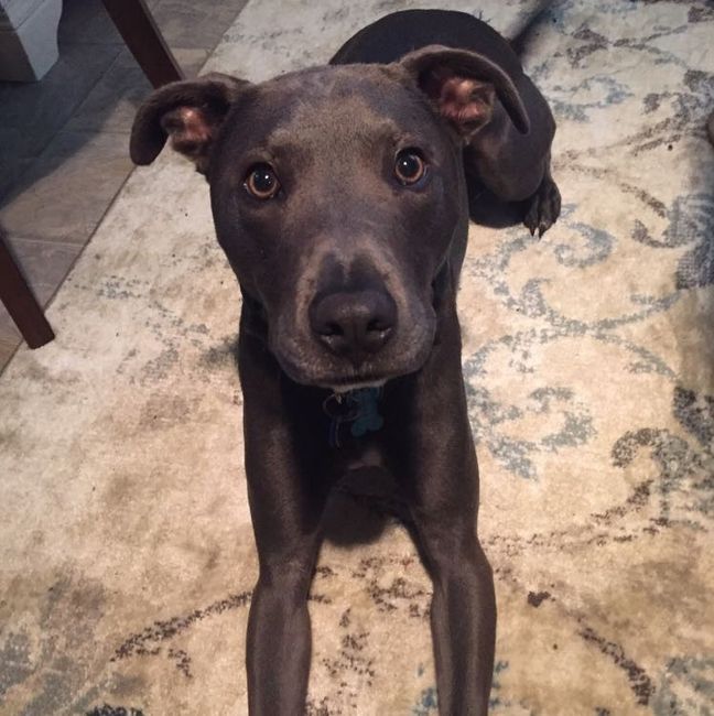 Monetary  or gift list