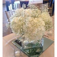 Elegance and Candles - 1