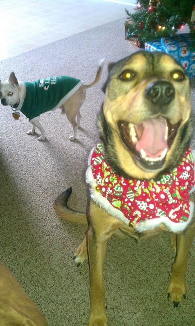 NWR: Fur Babies!