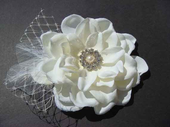 looking for a hairclip...