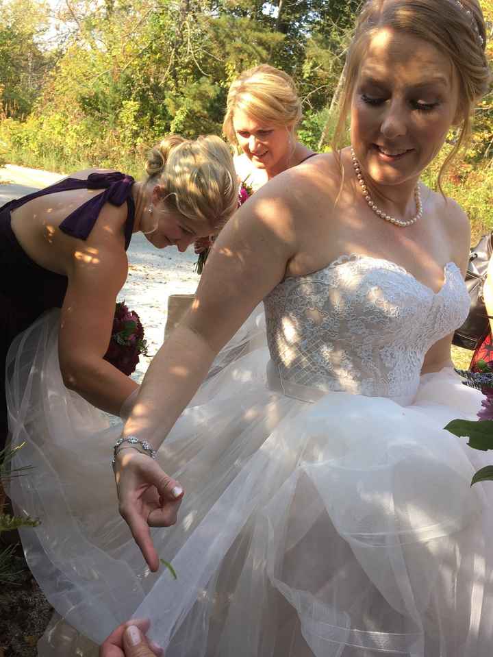 Nature Center non-pro BAM