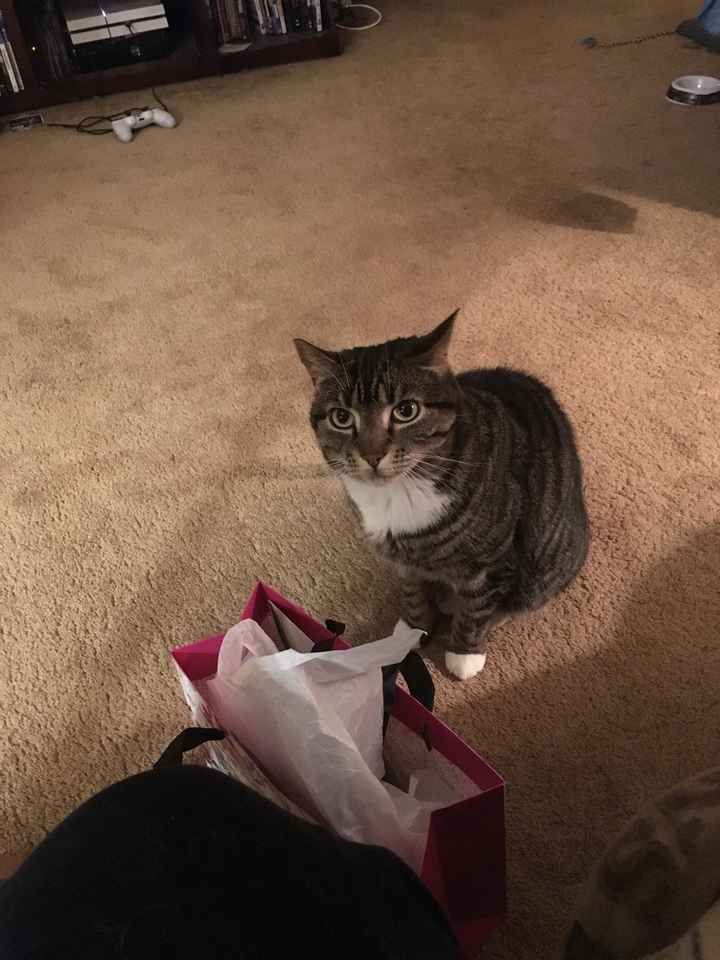 1 week left before we say i do and still haven’t set up table sitting - 1