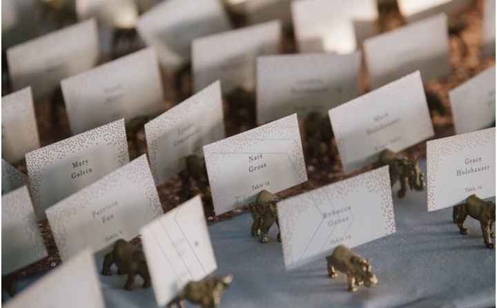 Pro Bam! Lots of fun pictures!