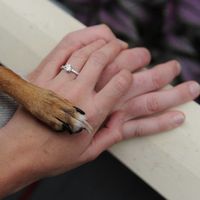 Having your pet in the engagement photos?