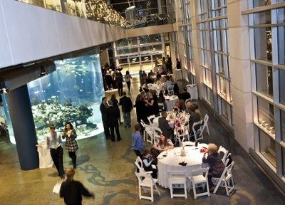 lets see pics of everyones venues!!