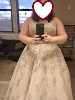 I said yes to the dress!