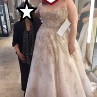 I said yes to the dress!