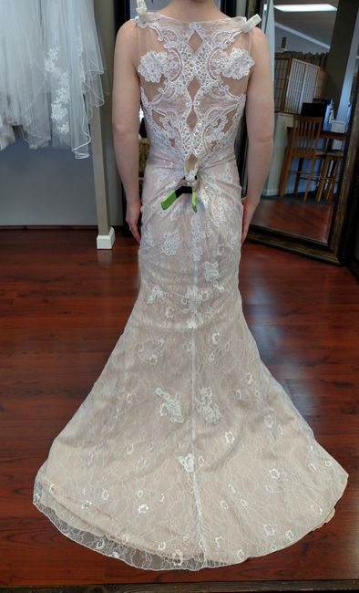 Which Dress?!?!  Would love your feedback!