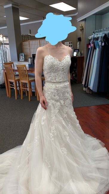 Which Dress?!?!  Would love your feedback!