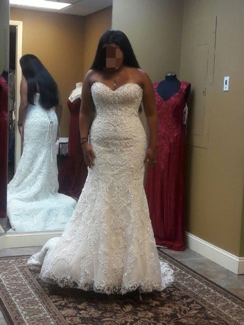 Dream Dress out of budget price