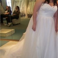 Any Disney Princess Brides??