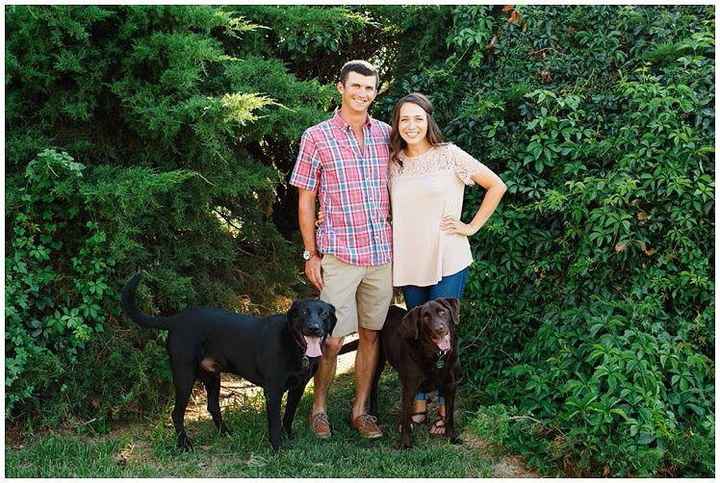 Fur babies with engagement/wedding photos