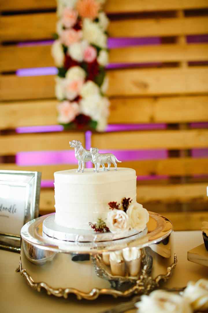 BAM pro - pic heavy!!