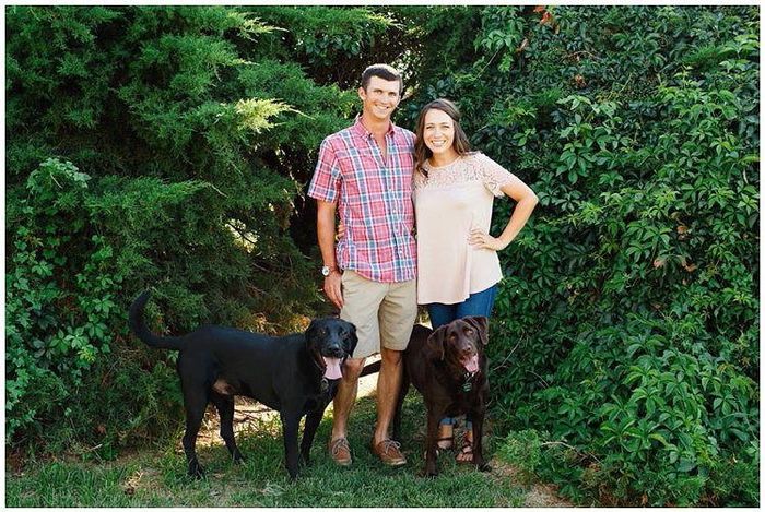 Fur babies with engagement/wedding photos