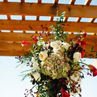 BAM pro - pic heavy!!