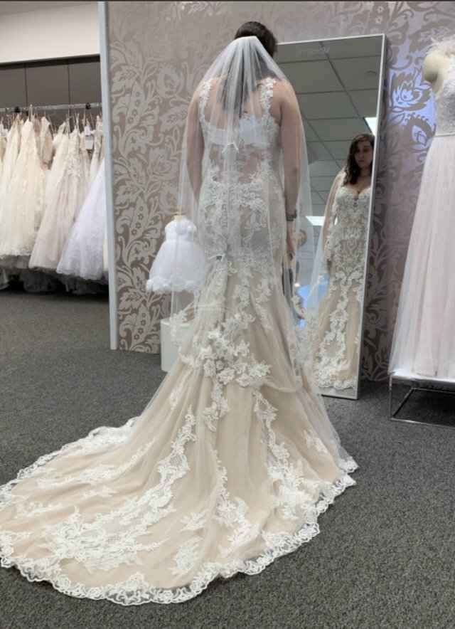 Who is your Dress Designer? - 1