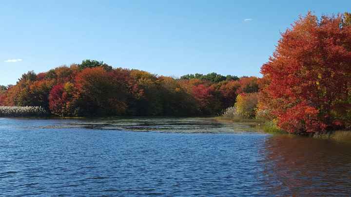 Foliage in November??