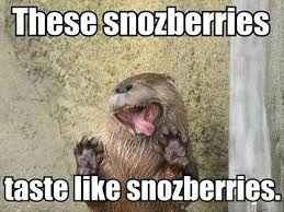 I'm a ball of nerves today *Send me your best memes!* Update on FH's Appointment