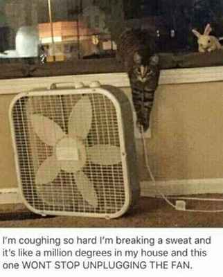 I'm a ball of nerves today *Send me your best memes!* Update on FH's Appointment