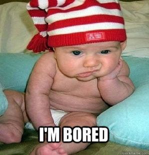 NWR: Memes & Cute Animal Pictures