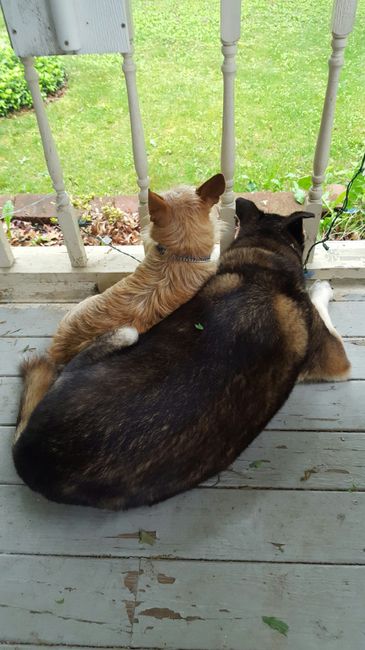 Update #2: I'm so devastated. NWR