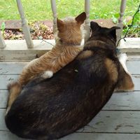 Update #2: I'm so devastated. NWR