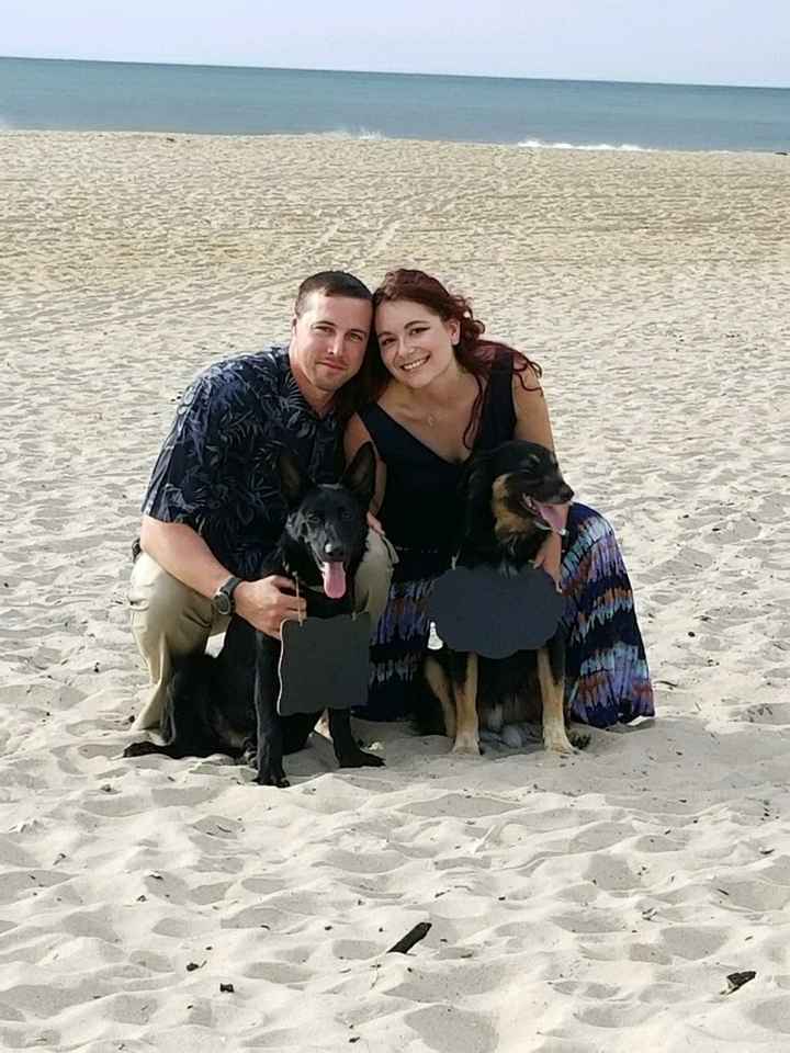 Pets "helping" you make things