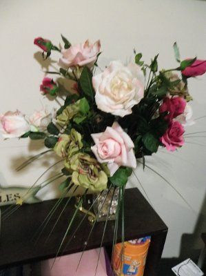 DIY's from today - need honest opinions please
